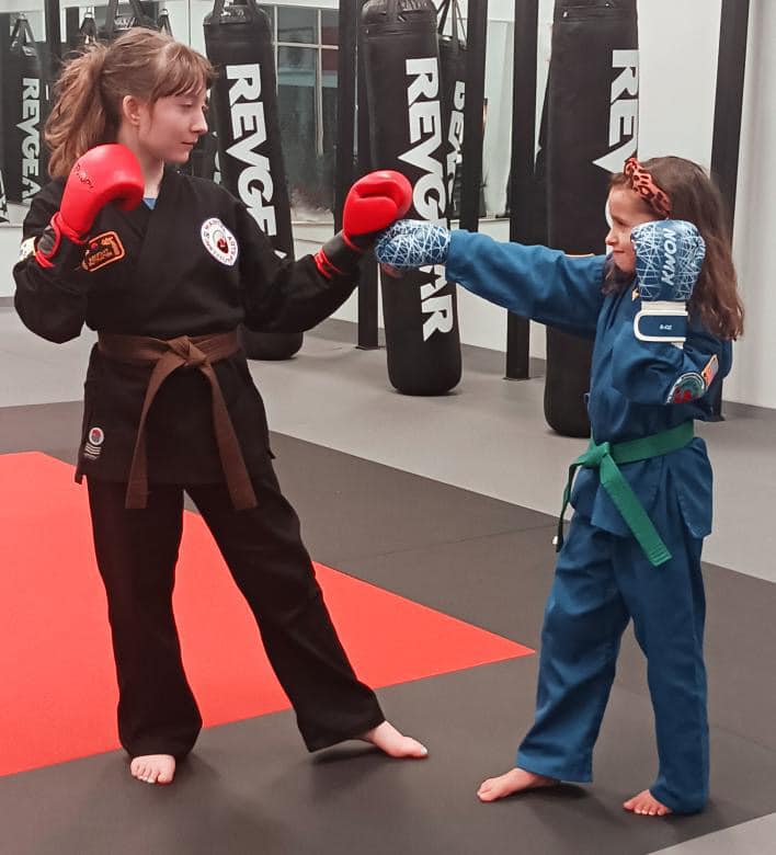 Martial Arts Institute and Fitness Self-Defense
